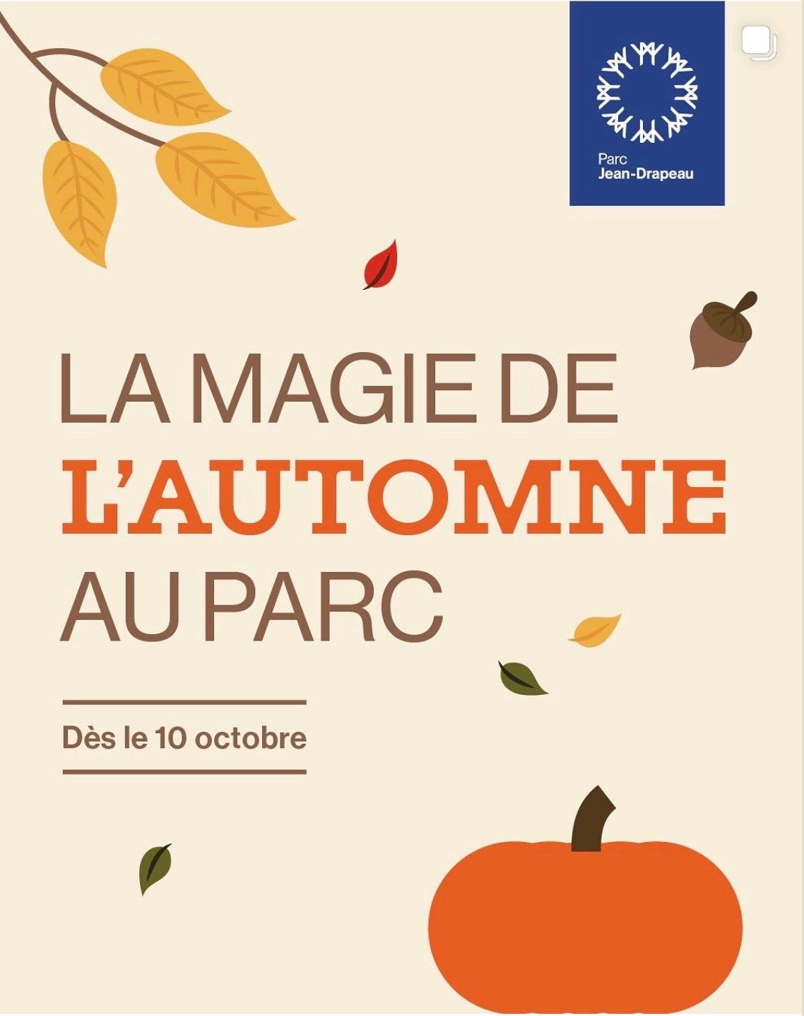 La Magie de l'Automne au Parc